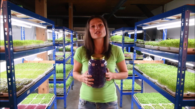 Microgreens MasterClass Business Approach – Screenshot 4