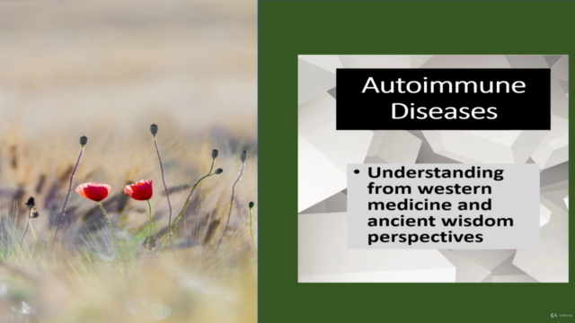 Autoimmune Diseases : East & West perspectives - Screenshot_01