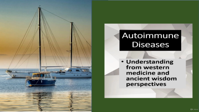 Autoimmune Diseases : East & West perspectives - Screenshot_03