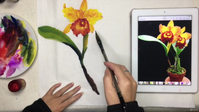 Chinese painting / Sumie course : painting different orchid – Screenshot 4