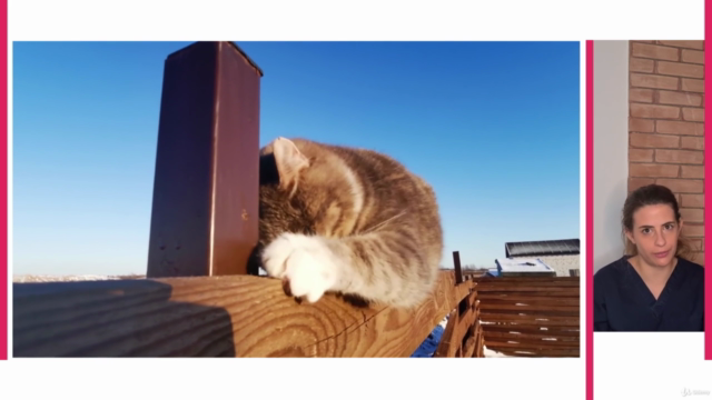 Communicating with your cat – Screenshot 1