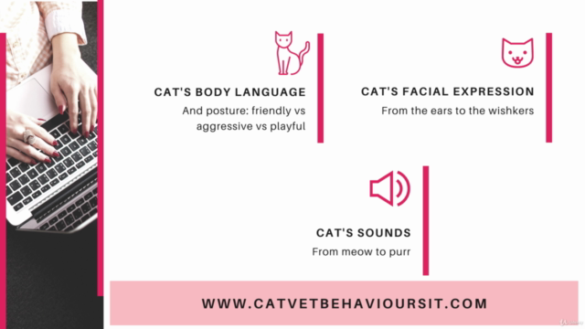 Communicating with your cat – Screenshot 2