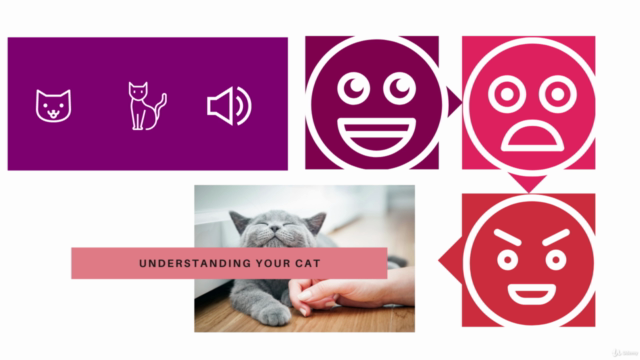 Communicating with your cat – Screenshot 3
