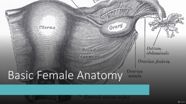 Treating Female Disorders With Alternative Medicine – Screenshot 1