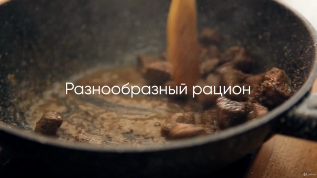 Приготовление функциональной еды по книге доктора Клименова – Screenshot 2