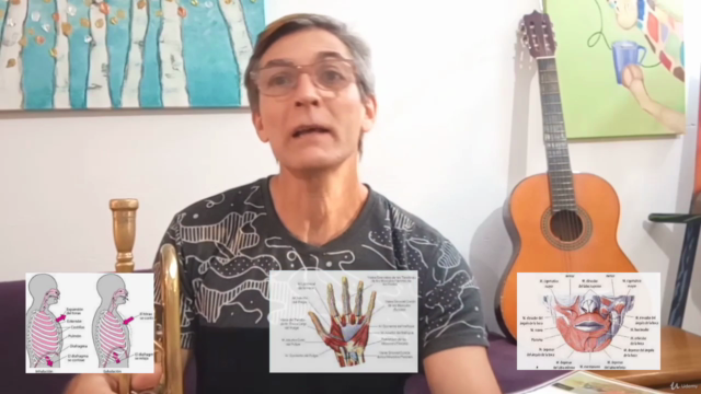 Trompeta para principiantes nivel - 1 – Screenshot 2