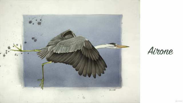 Disegno e acquerello naturalistico - Gli uccelli – Screenshot 1