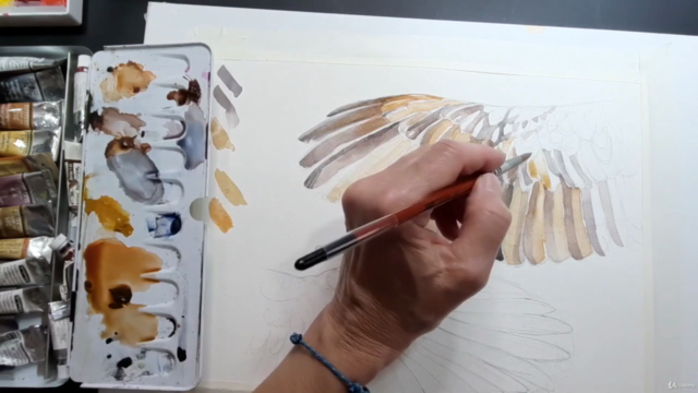 Disegno e acquerello naturalistico - Gli uccelli – Screenshot 3