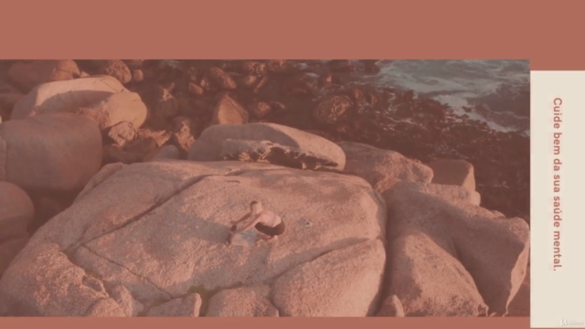 Líder Empreendedor – Screenshot 1