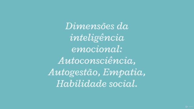 Líder Empreendedor – Screenshot 2