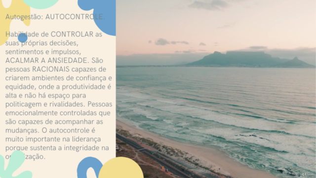 Líder Empreendedor – Screenshot 3