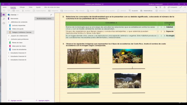 Microsoft OneNote para profesores - Screenshot_04