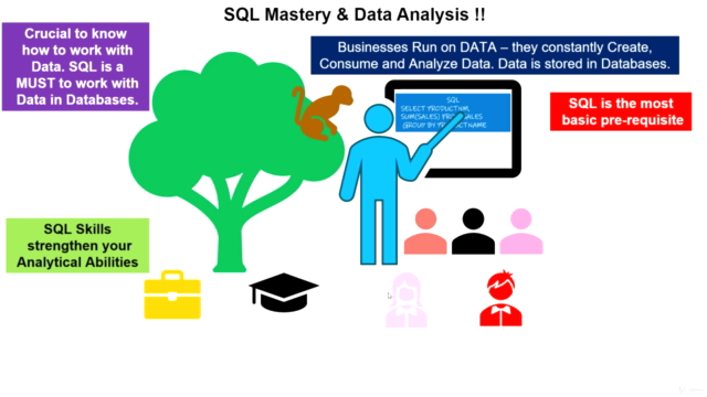 Beginner's Course - SQL & Data Analysis - Screenshot_03