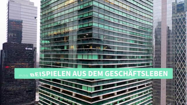 SAP für Anfänger – SAP einfach und leicht verstehen – Screenshot 4