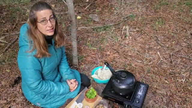 Cocina Natural y de supervivencia – Screenshot 2