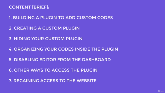 Build a WordPress plugin instead of using theme's functions – Screenshot 2