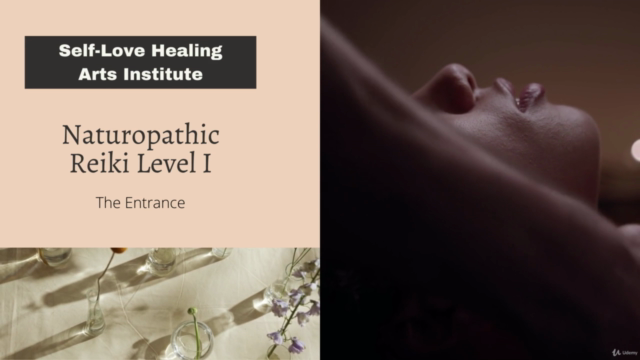 The Healer-Naturopathic Reiki Level 1 – Screenshot 1