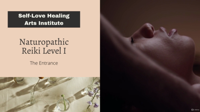 The Healer-Naturopathic Reiki Level 1 – Screenshot 2