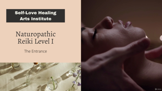 The Healer-Naturopathic Reiki Level 1 – Screenshot 3