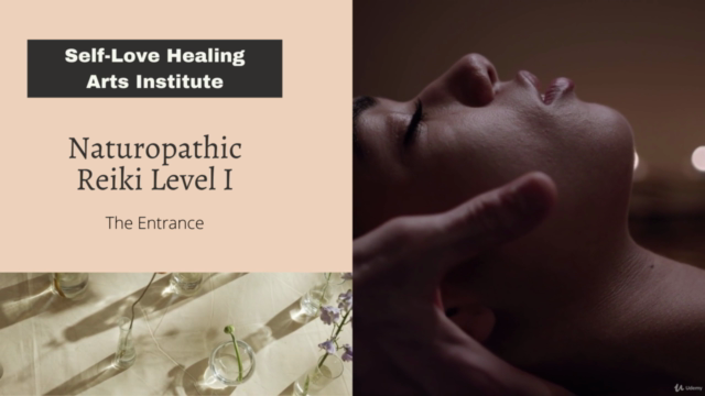 The Healer-Naturopathic Reiki Level 1 – Screenshot 4
