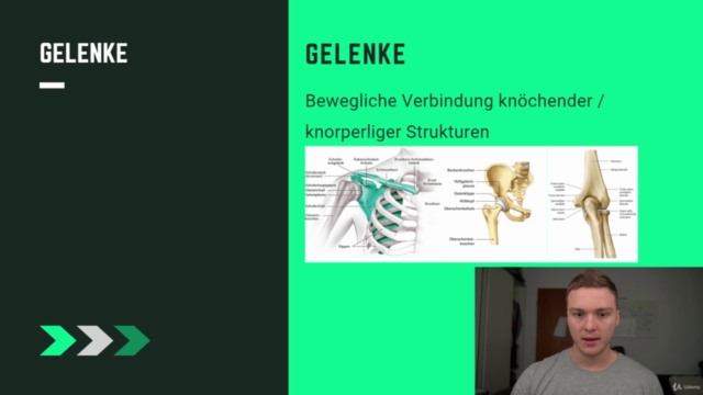 Fitness Trainer Lizenz: Anfänger bis Fortgeschritten – Screenshot 3