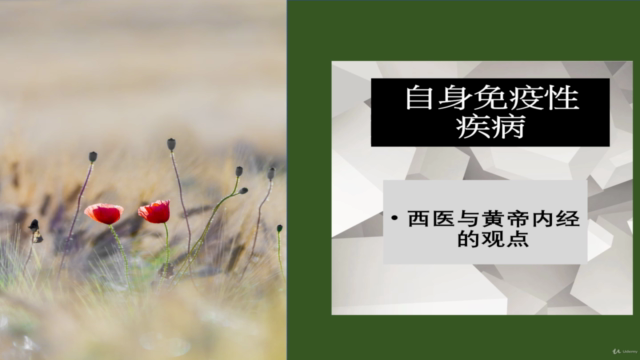 自身免疫性疾病:东西方观点 – Screenshot 1