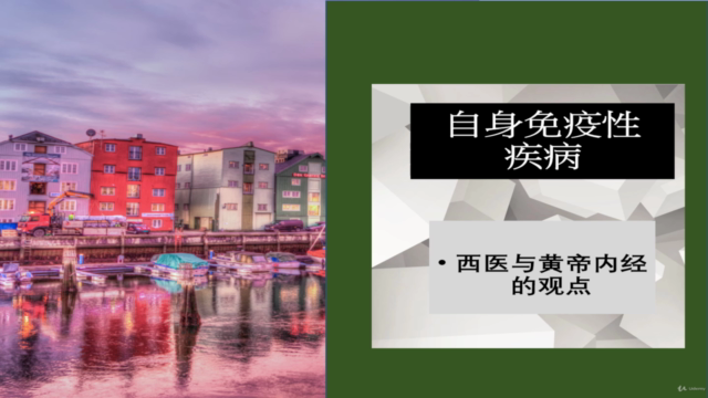 自身免疫性疾病:东西方观点 – Screenshot 2