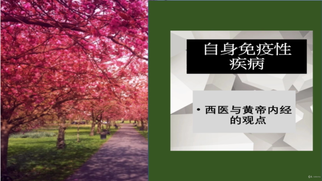 自身免疫性疾病:东西方观点 – Screenshot 4