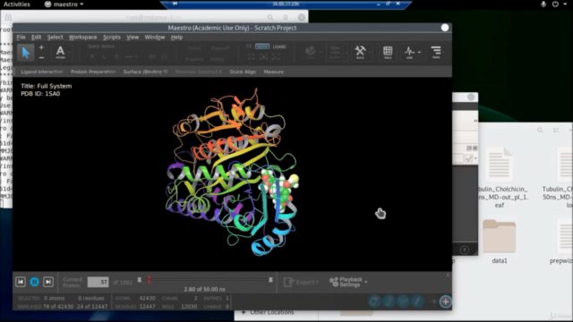 Molecular Dynamic Simulations for Drug Discovery – Screenshot 3