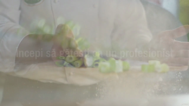 GATESC PENTRU AMATORI – Screenshot 2