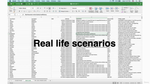 Excel Fundamentals for Healthcare – Screenshot 1
