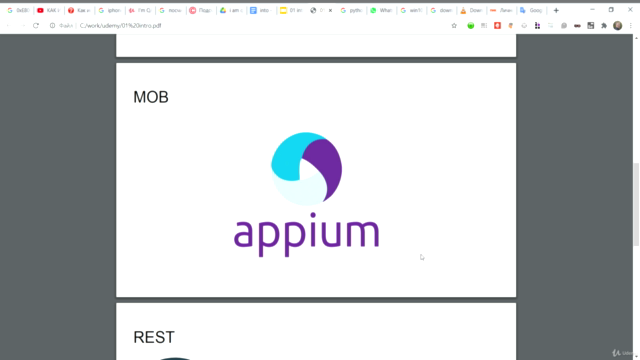 QA automation WEB MOBILE REST – Screenshot 2