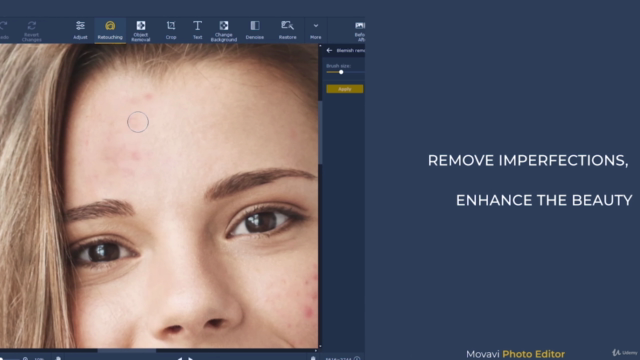 Movavi Photo Editor 6 - Complete Course – Screenshot 1