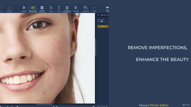 Movavi Photo Editor 6 - Complete Course – Screenshot 3