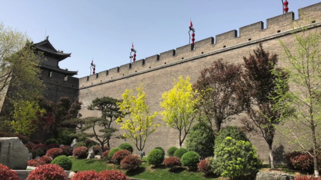 Tai Chi Grundübungen – Screenshot 1