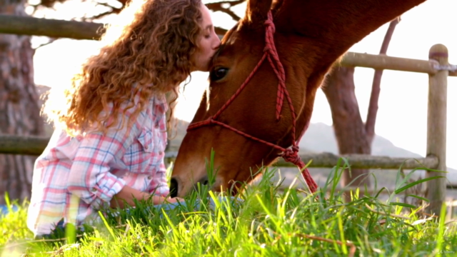 Animal Communication Beginner Level – Screenshot 3