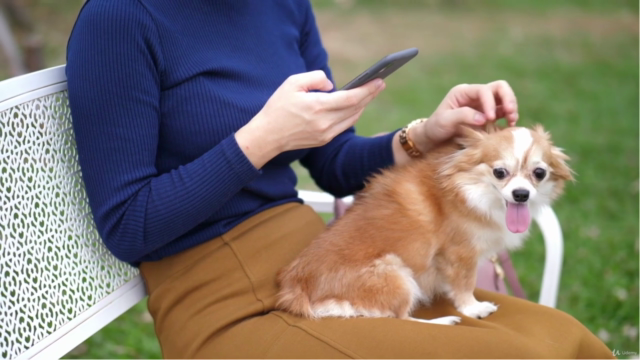Animal Communication Beginner Level – Screenshot 4