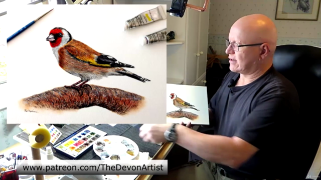 How To Paint in Watercolor a Realistic Bird | Goldfinch – Screenshot 1
