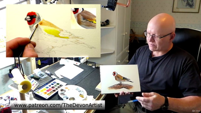 How To Paint in Watercolor a Realistic Bird | Goldfinch – Screenshot 2