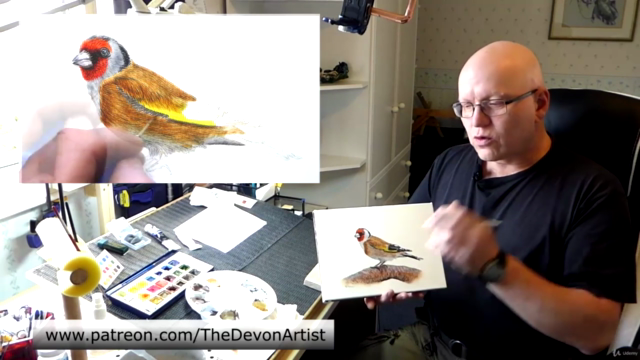 How To Paint in Watercolor a Realistic Bird | Goldfinch – Screenshot 3