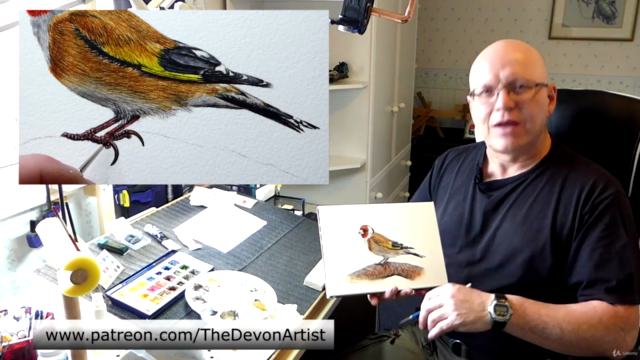 How To Paint in Watercolor a Realistic Bird | Goldfinch – Screenshot 4