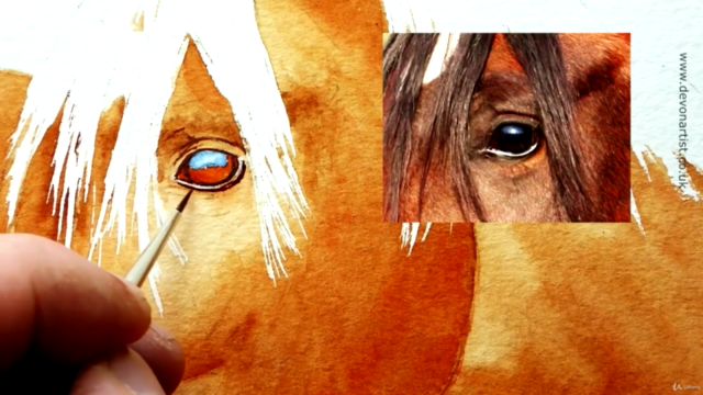 Watercolor Lesson, How To Paint a Horse's Head – Screenshot 1