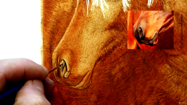 Watercolor Lesson, How To Paint a Horse's Head – Screenshot 3