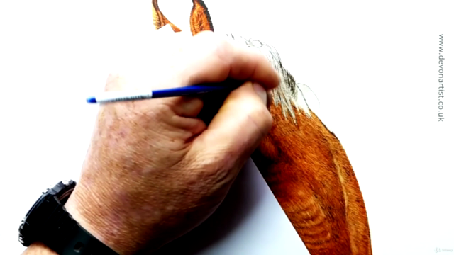 Watercolor Lesson, How To Paint a Horse's Head – Screenshot 4