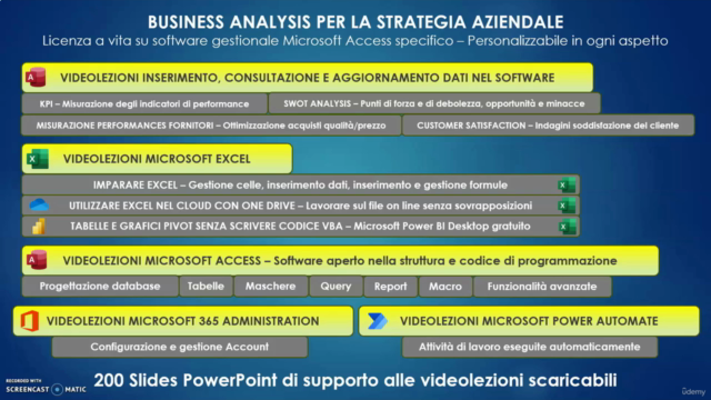 Business Analysis con software aziendale modificabile – Screenshot 1