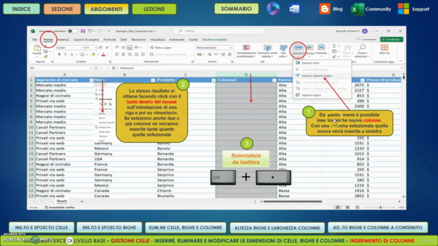 Business Analysis con software aziendale modificabile – Screenshot 3