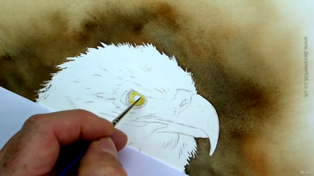 Watercolor Painting Class - Bald Eagle – Screenshot 1