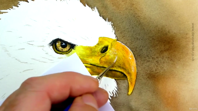 Watercolor Painting Class - Bald Eagle – Screenshot 2