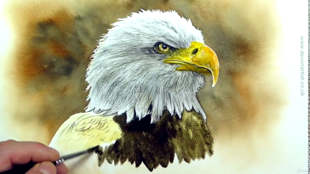 Watercolor Painting Class - Bald Eagle – Screenshot 3