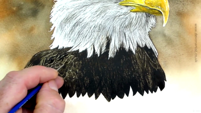 Watercolor Painting Class - Bald Eagle – Screenshot 4